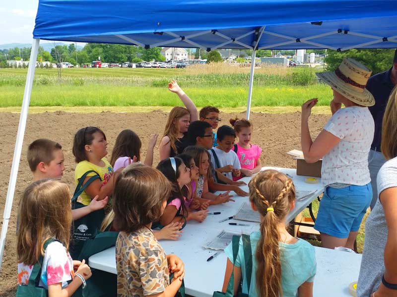Kids learning about planting sunflowers and pumpkins