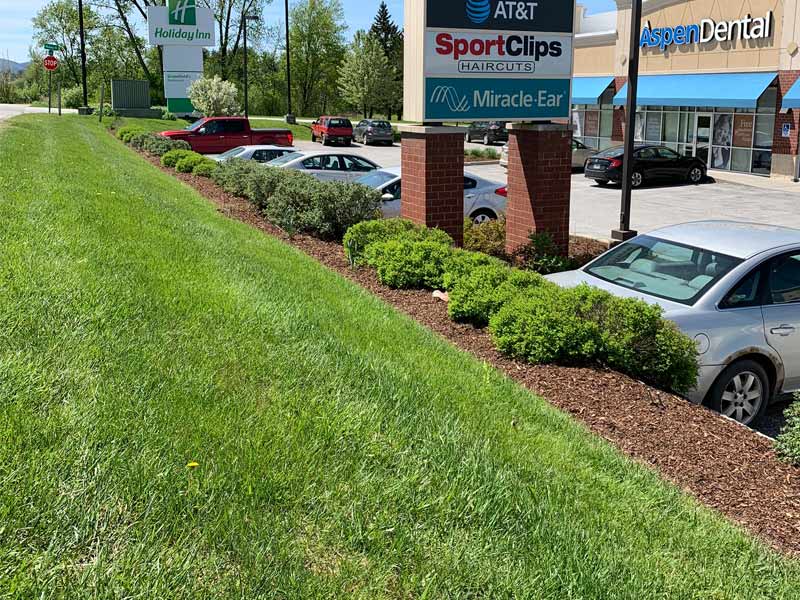 Nicely landscaped lawn, bushes and mulch.